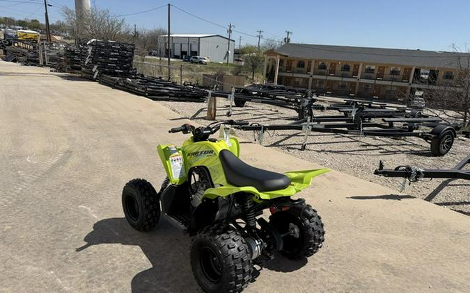 2026 Yamaha Raptor 110