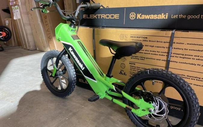 2023 Kawasaki Elektrode