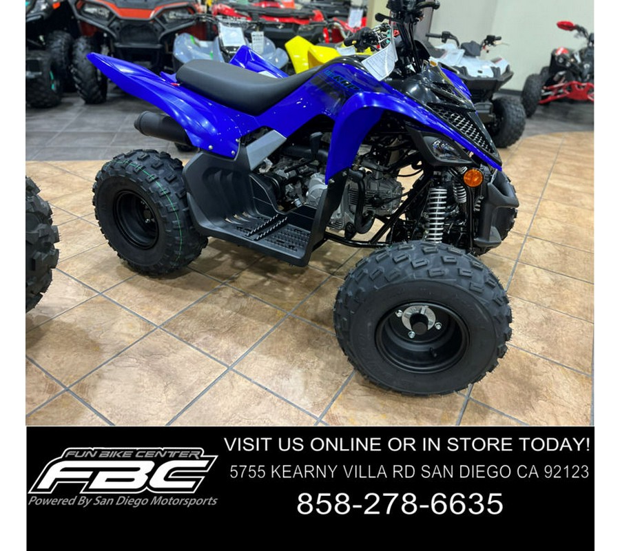 2024 Yamaha Raptor 110