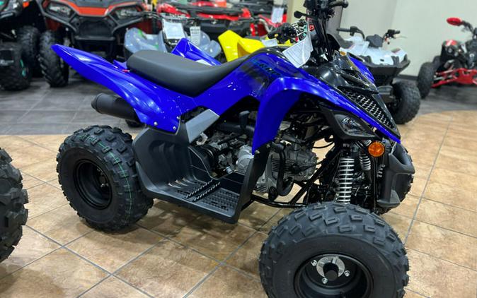 2024 Yamaha Raptor 110