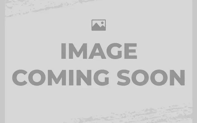 2020 APRILIA TUONO V4