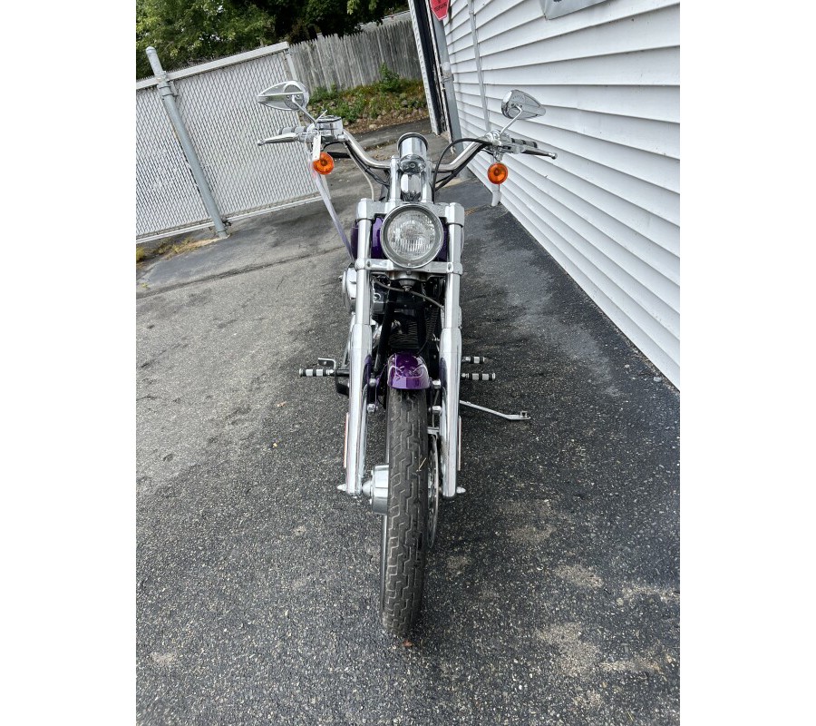 2001 Harley-Davidson Softail® Deuce Concord Purple Pearl