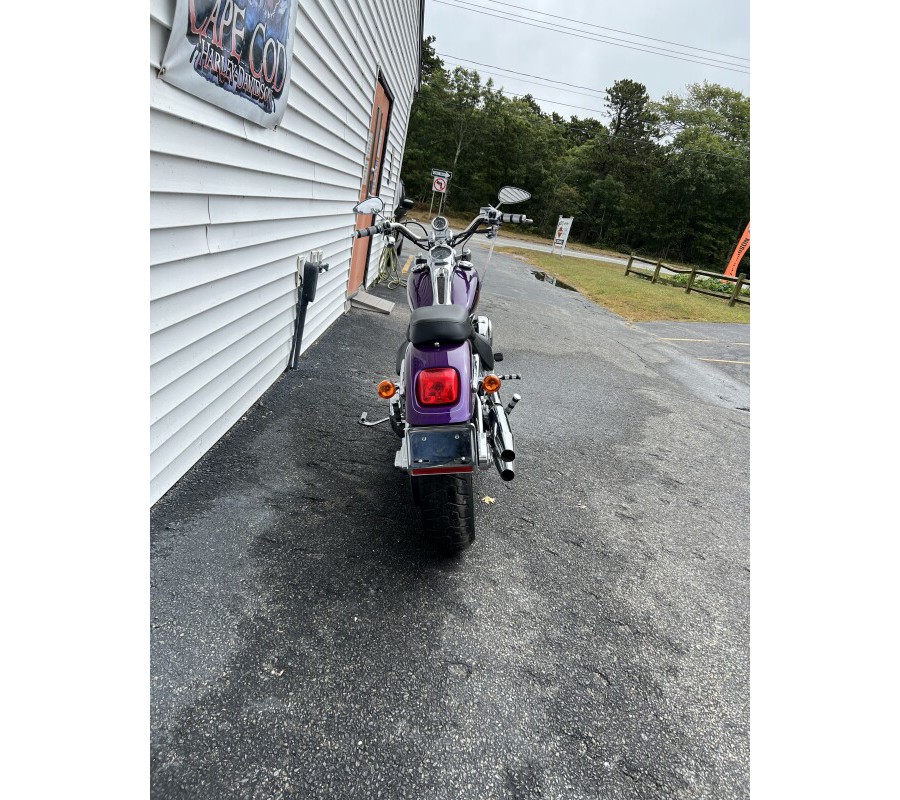 2001 Harley-Davidson Softail® Deuce Concord Purple Pearl