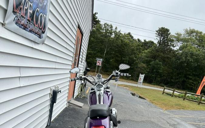 2001 Harley-Davidson Softail® Deuce Concord Purple Pearl