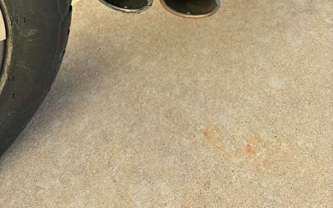 2019 Can-Am Ryker Rally Edition