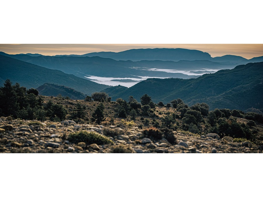 2026 KTM 390 Adventure X