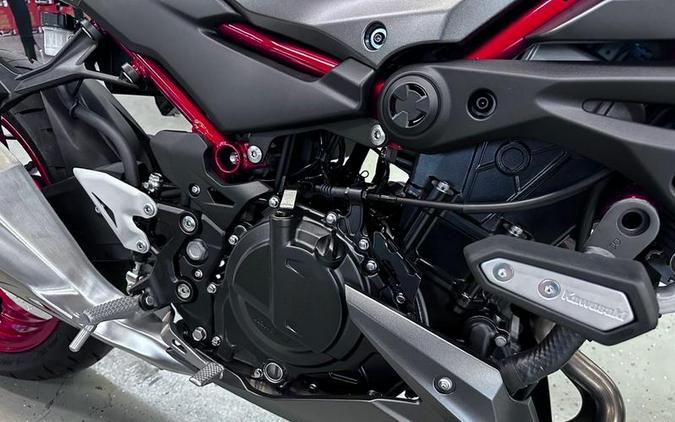 2024 Kawasaki Z500 SE ABS