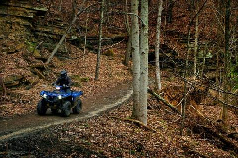 2016 Yamaha Grizzly