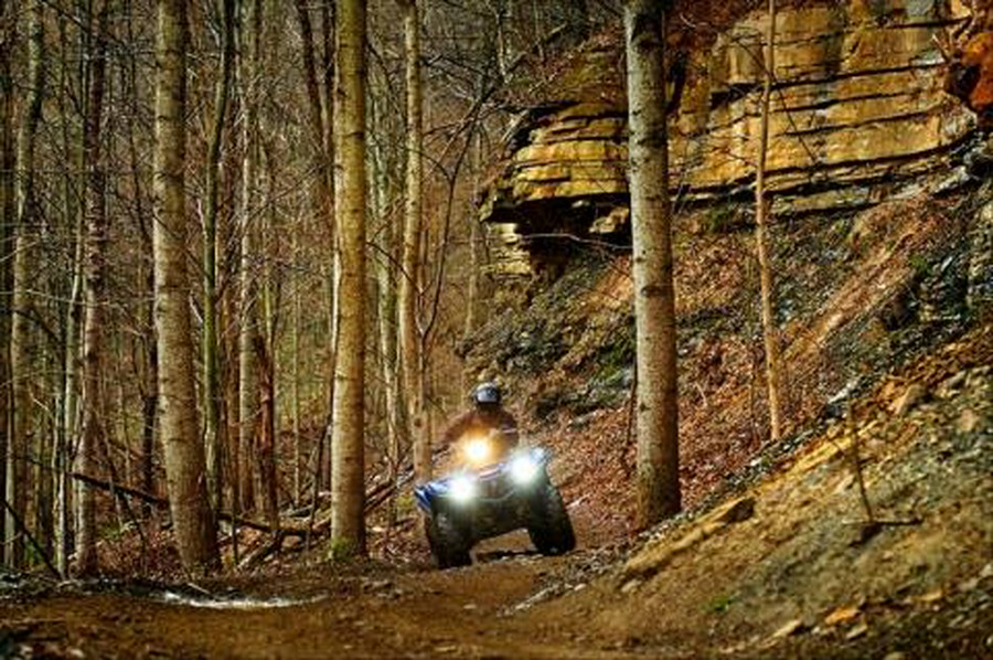 2016 Yamaha Grizzly
