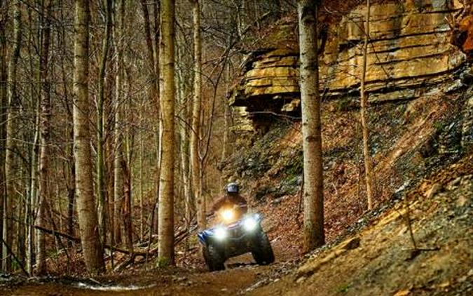 2016 Yamaha Grizzly