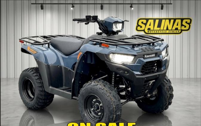 2026 Kawasaki Brute Force® 300