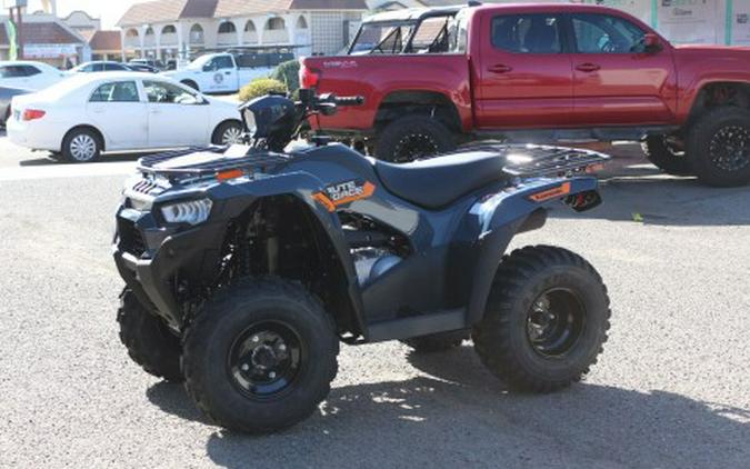 2026 Kawasaki Brute Force® 300