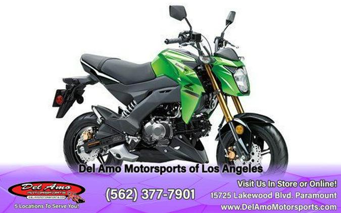 2024 Kawasaki Z125 PRO