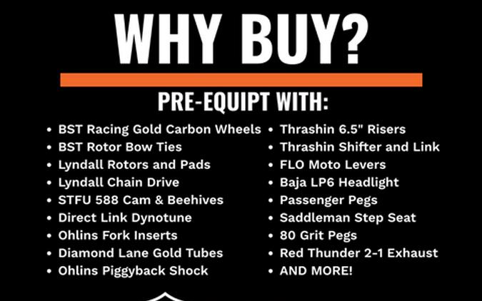 2023 Harley-Davidson Low Rider® ST