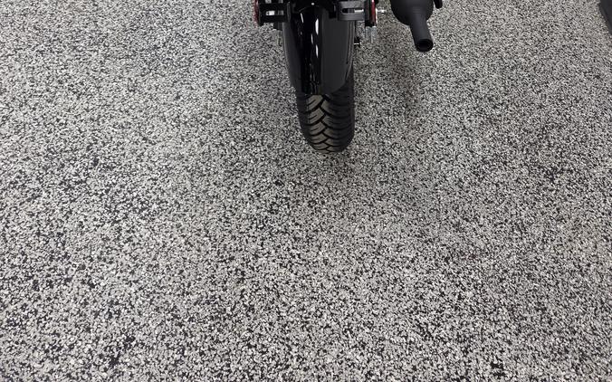 2026 Kawasaki W175 LTD ABS - K0251A