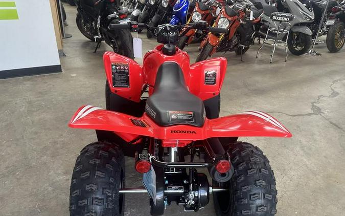 2026 Honda® TRX90X
