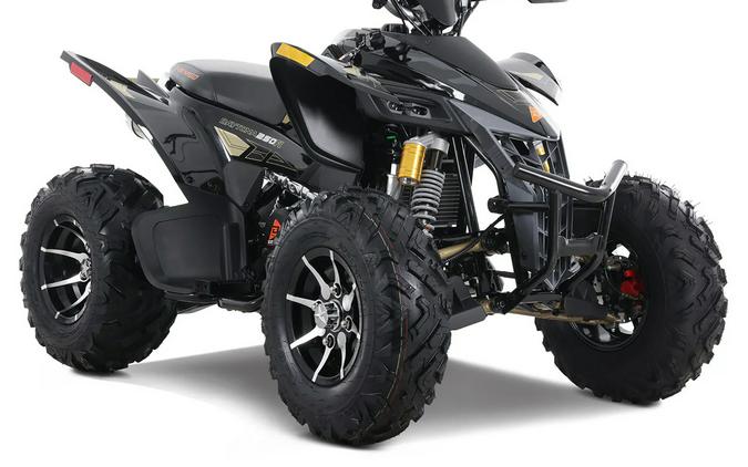 2025 Denago Daytona 250FI