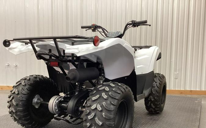 2024 Yamaha Grizzly 90