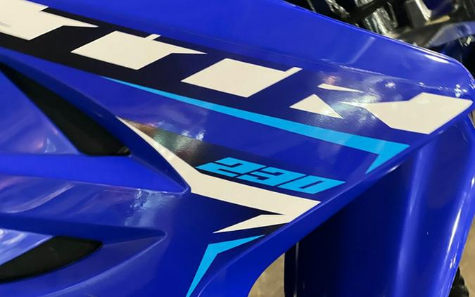 2026 Yamaha TT-R230 CA