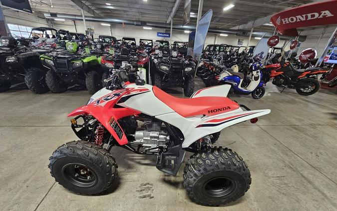 2024 Honda TRX 250X