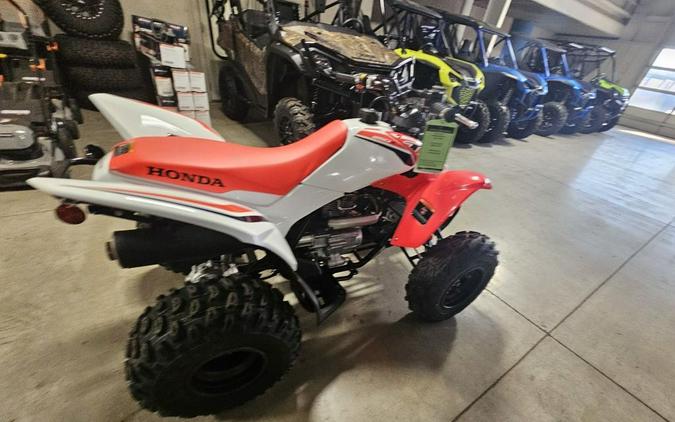 2024 Honda TRX 250X