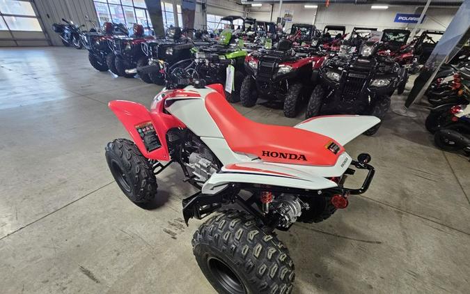 2024 Honda TRX 250X