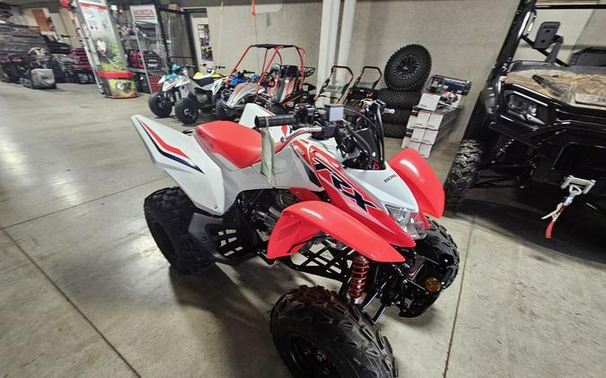 2024 Honda TRX 250X