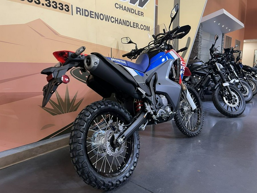 2025 Honda® CRF300L Rally ABS