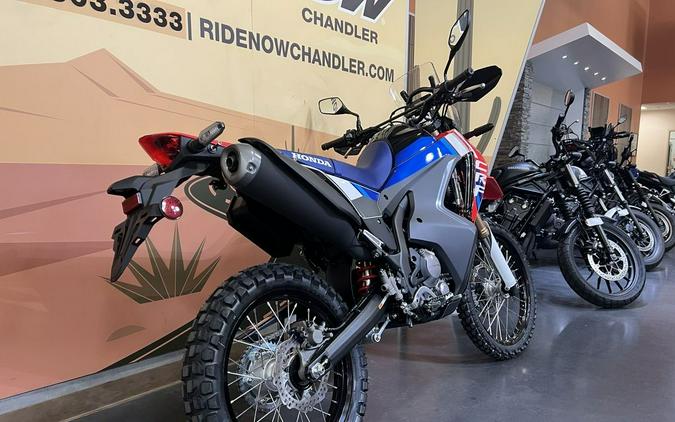 2025 Honda® CRF300L Rally ABS