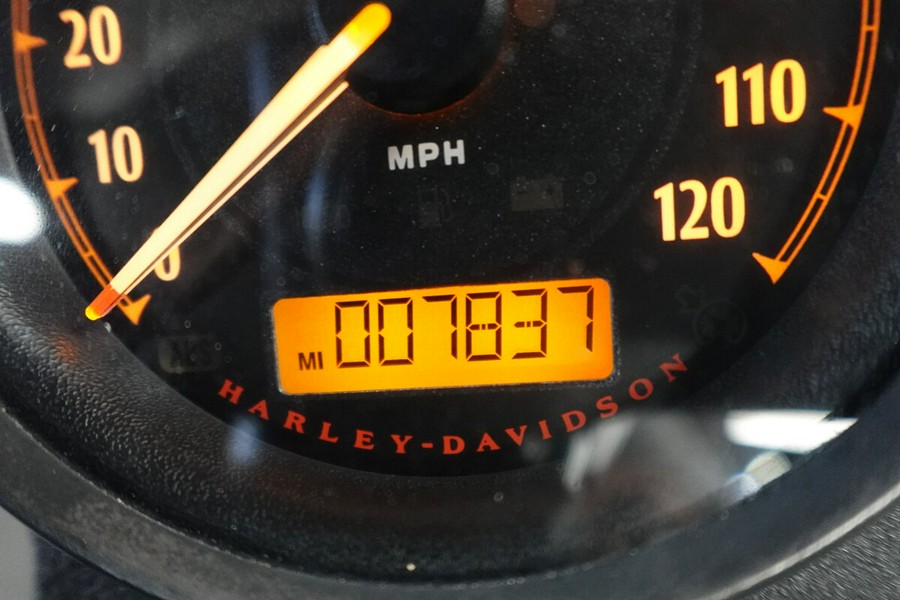 2022 Harley-Davidson Iron 883 XL 883N