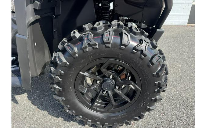 2025 CFMOTO CFORCE 600 TOURING