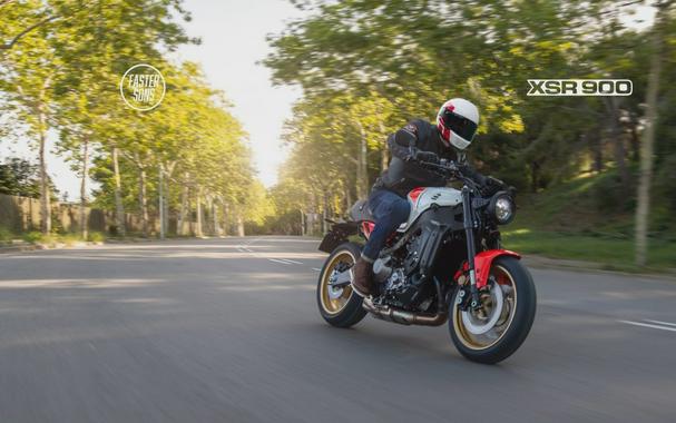 2024 Yamaha XSR900 GP First Look [With Specs and Photos]