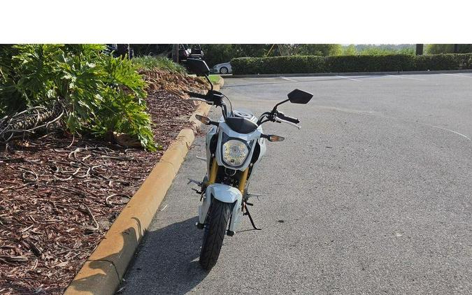 2026 Kawasaki Z125 PRO