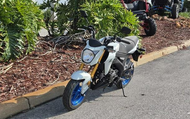 2026 Kawasaki Z125 PRO