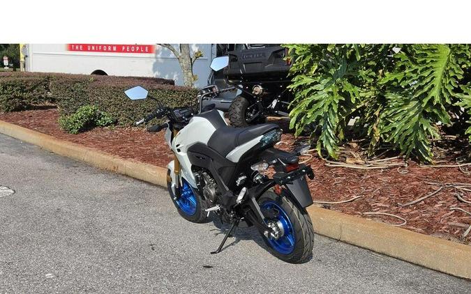 2026 Kawasaki Z125 PRO