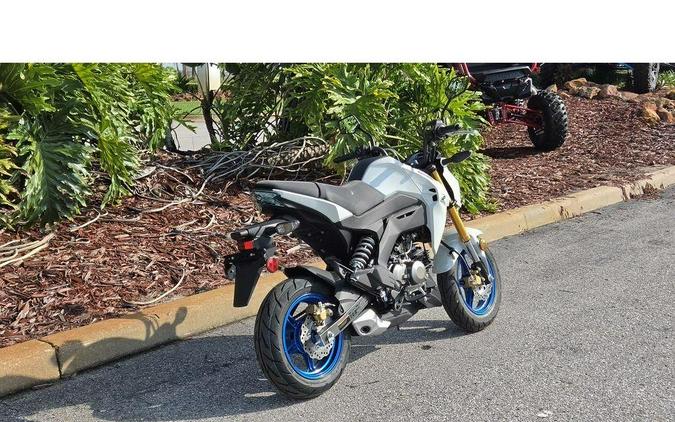 2026 Kawasaki Z125 PRO