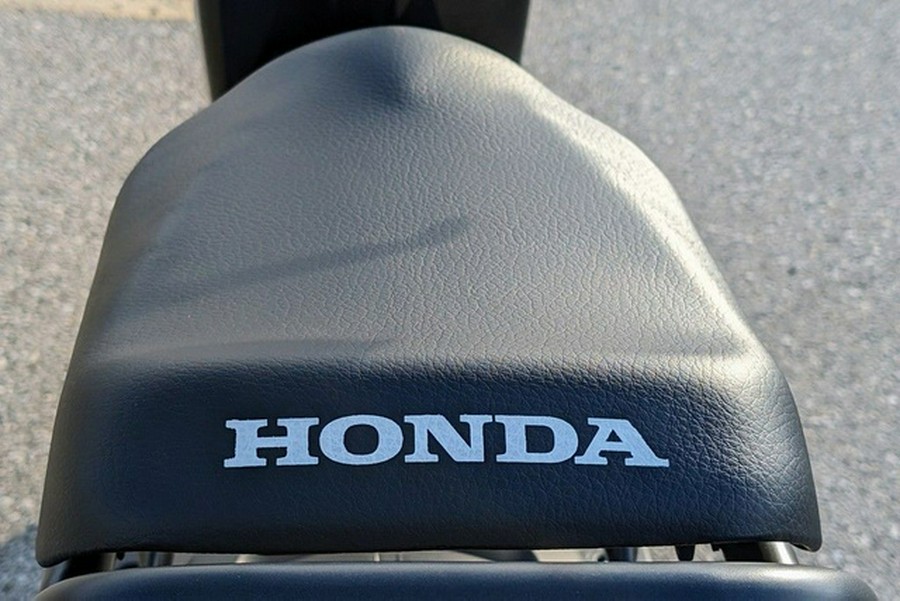 2024 Honda Ruckus