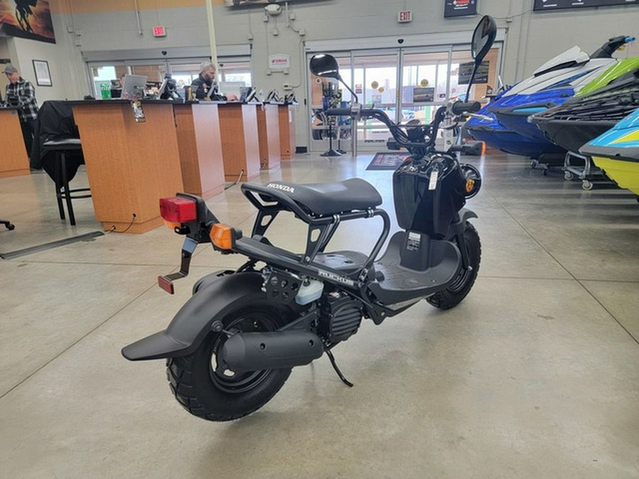 2024 Honda Ruckus