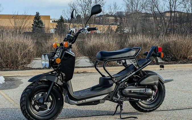 2024 Honda Ruckus