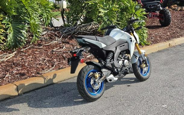 2026 Kawasaki Z125 PRO