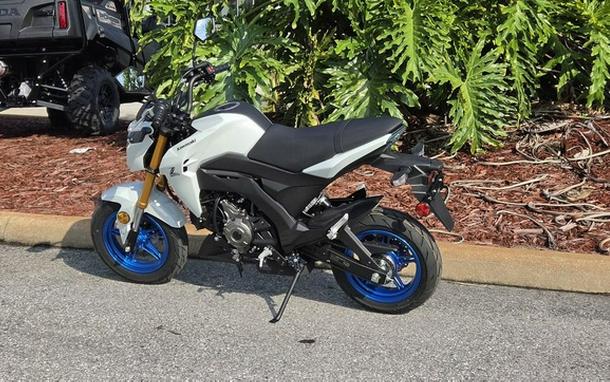 2026 Kawasaki Z125 PRO
