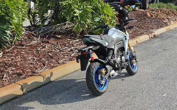 2026 Kawasaki Z125 PRO