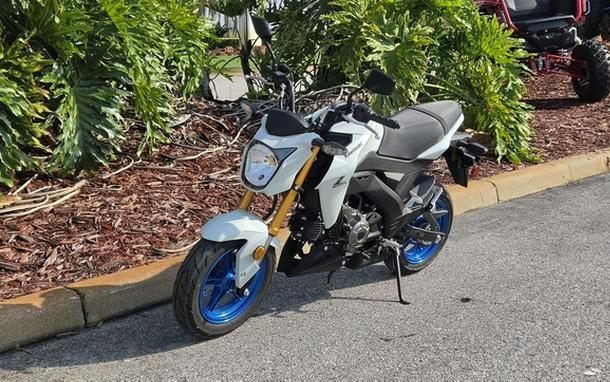 2026 Kawasaki Z125 PRO