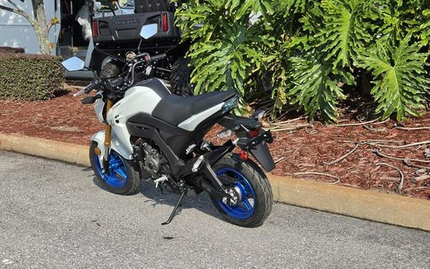 2026 Kawasaki Z125 PRO