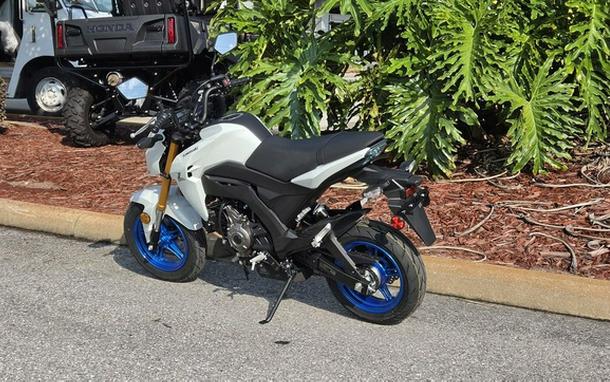 2026 Kawasaki Z125 PRO