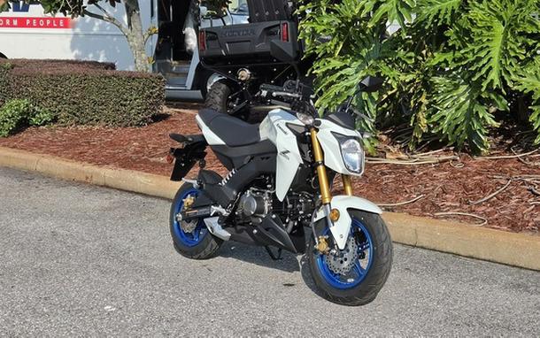 2026 Kawasaki Z125 PRO