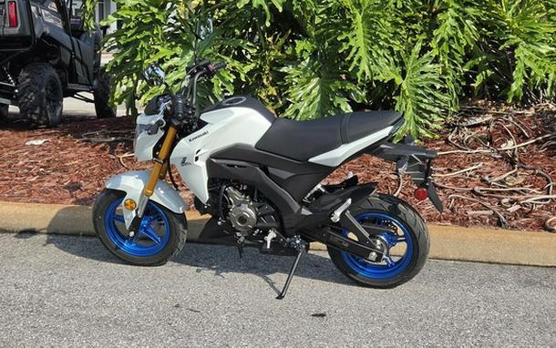2026 Kawasaki Z125 PRO