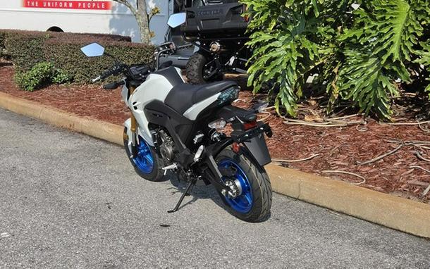 2026 Kawasaki Z125 PRO