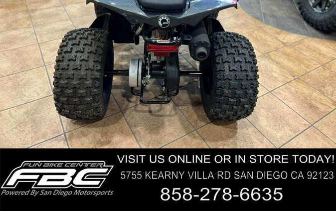 2024 Can-Am® Renegade X xc 110 EFI