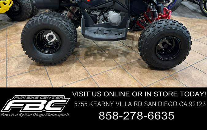 2024 Can-Am® Renegade X xc 110 EFI